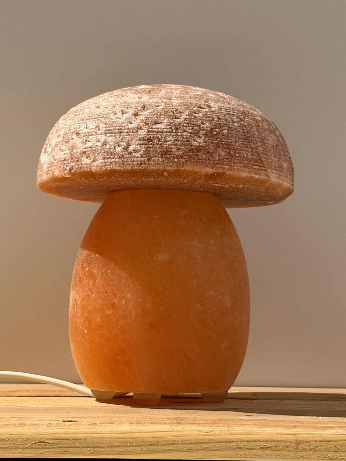 Himalaya Zoutlamp - Paddenstoel - incl. kabel & reservelampje