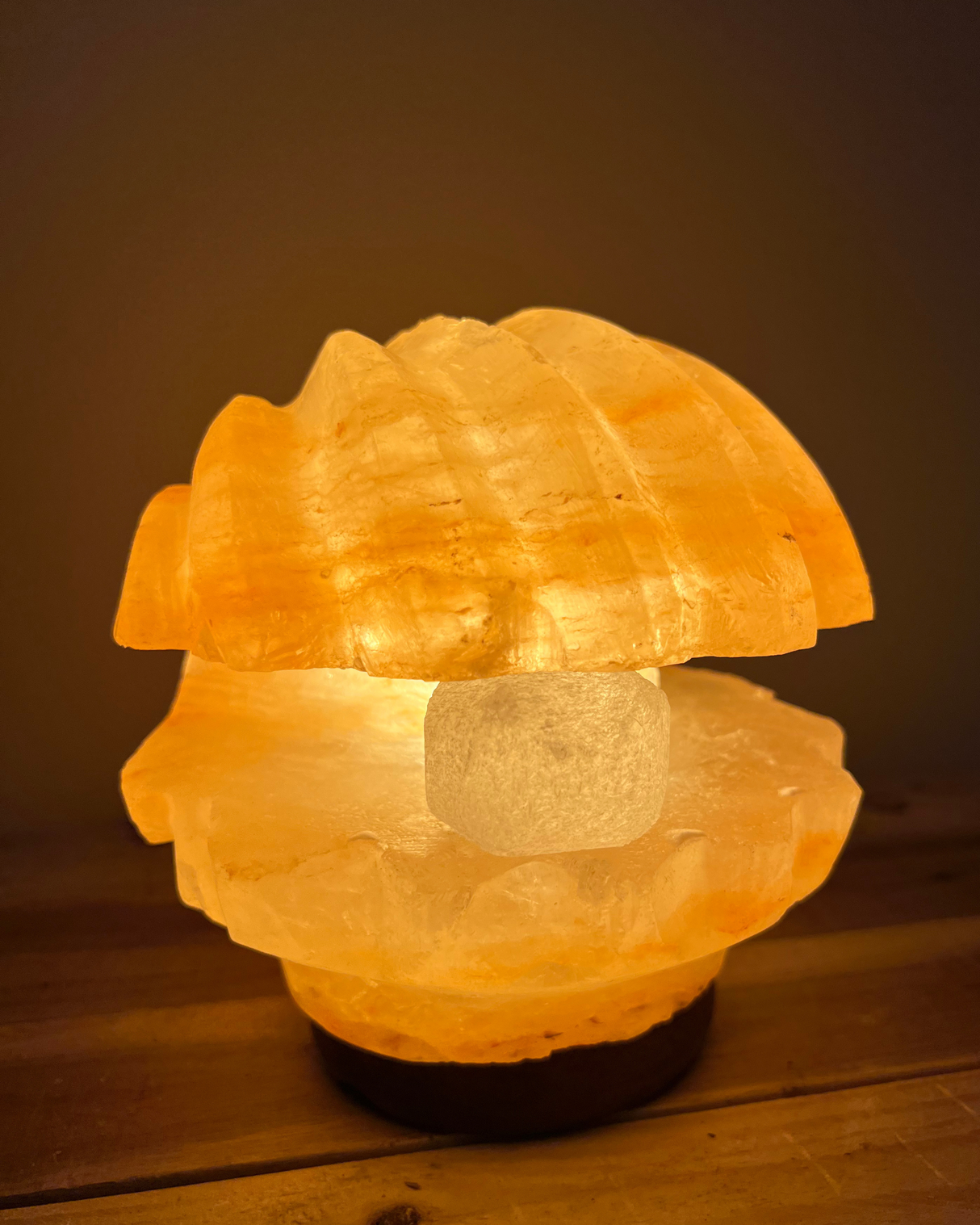 Himalaya zoutlamp schelp met parel, handgemaakte zoutlamp met houten voet en snoer