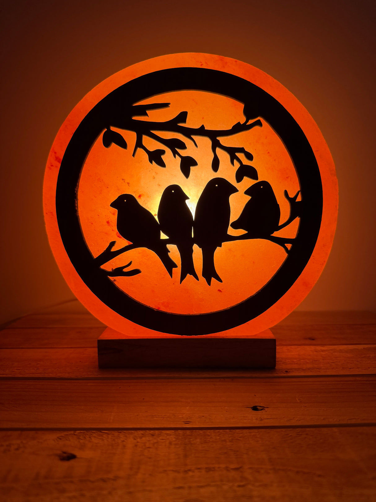 Himalaya Zoutlamp - Vogels 3D - incl. kabel & reservelampje