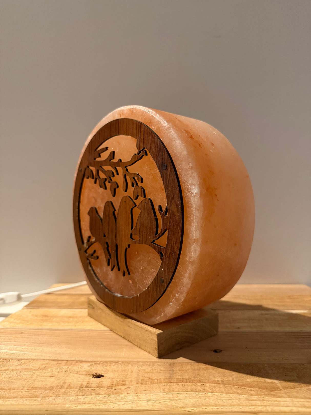 Himalaya Zoutlamp - Vogels 3D - incl. kabel & reservelampje