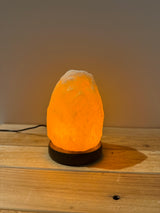 Himalaya Zoutsteen Usb Lampje Natuurlijke Vorm - incl. schakelaar & reservelampje