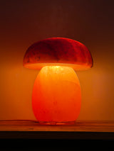 Himalaya Zoutlamp - Paddenstoel - incl. kabel & reservelampje