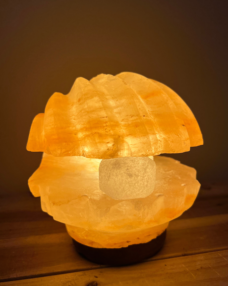 Handgemaakte Himalaya zoutlamp in schelpvorm met parel, op houten voet, geeft warm en sfeervol licht.