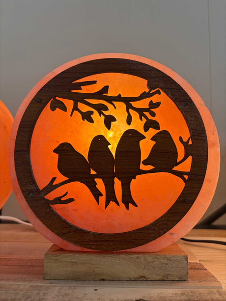 Handgemaakte Himalaya zoutlamp met 3D vogelpatroon en warme oranje gloed, inclusief kabel en lampje