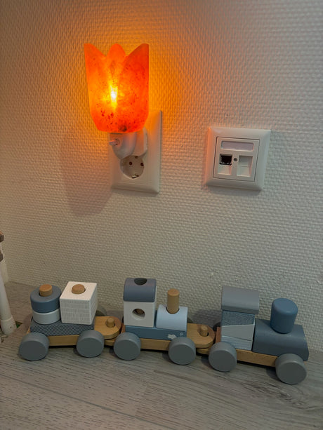 Compact Himalaya zoutlamp-nachtlampje met warm licht en pinfix stekker, ideaal voor een kalme, gezonde nachtrust