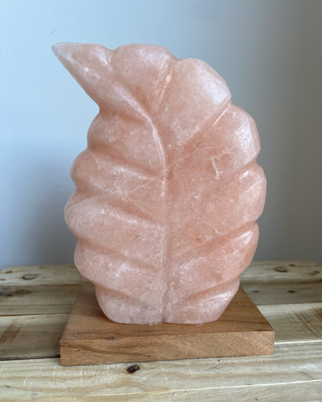 Handgemaakte Himalaya zoutlamp op houten voet, straalt warm licht en brengt rust in elk interieur