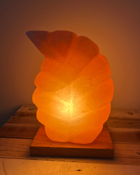 Handgemaakte Himalaya zoutlamp op houten voet, straalt warm licht en brengt rust in elk interieur