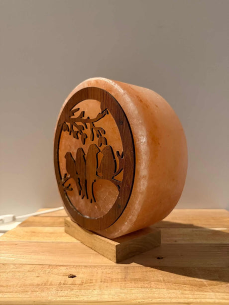Handgemaakte Himalaya zoutlamp in 3D vogelvorm met warm licht en houten voet.